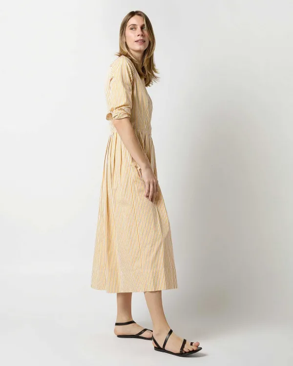 Best Ann Mashburn Felicity Shirtwaist Dress Gold Bengal Stripe Poplin