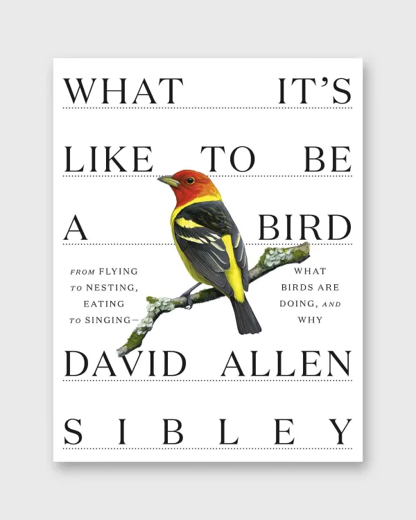 Online Penguin Random House What It's Like To Be A Bird David Allen Sibley